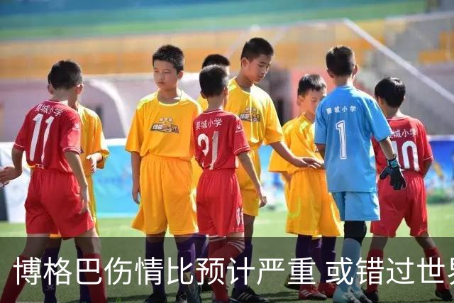 博格巴伤情比预计严重 或错过世界杯到明年才复出