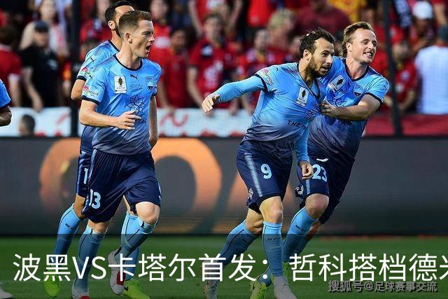 波黑VS卡塔尔首发：哲科搭档德米罗维奇 科拉希纳茨出战