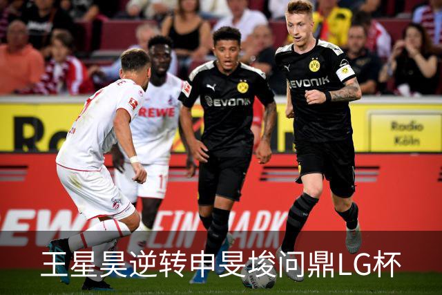 王星昊逆转申旻埈问鼎LG杯