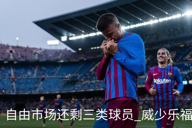自由市场还剩三类球员 威少乐福领衔失业大军？