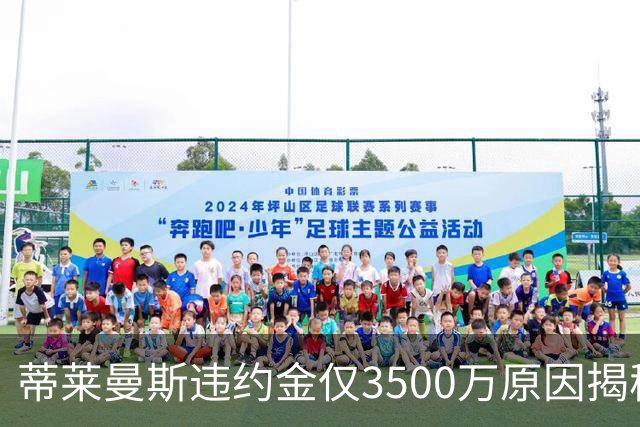 蒂莱曼斯违约金仅3500万原因揭秘！维拉报复曼联，怒抢三潜在目标