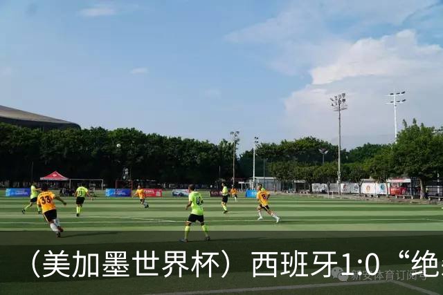 （美加墨世界杯）西班牙1:0“绝杀”葡萄牙 C罗结束世界杯征程